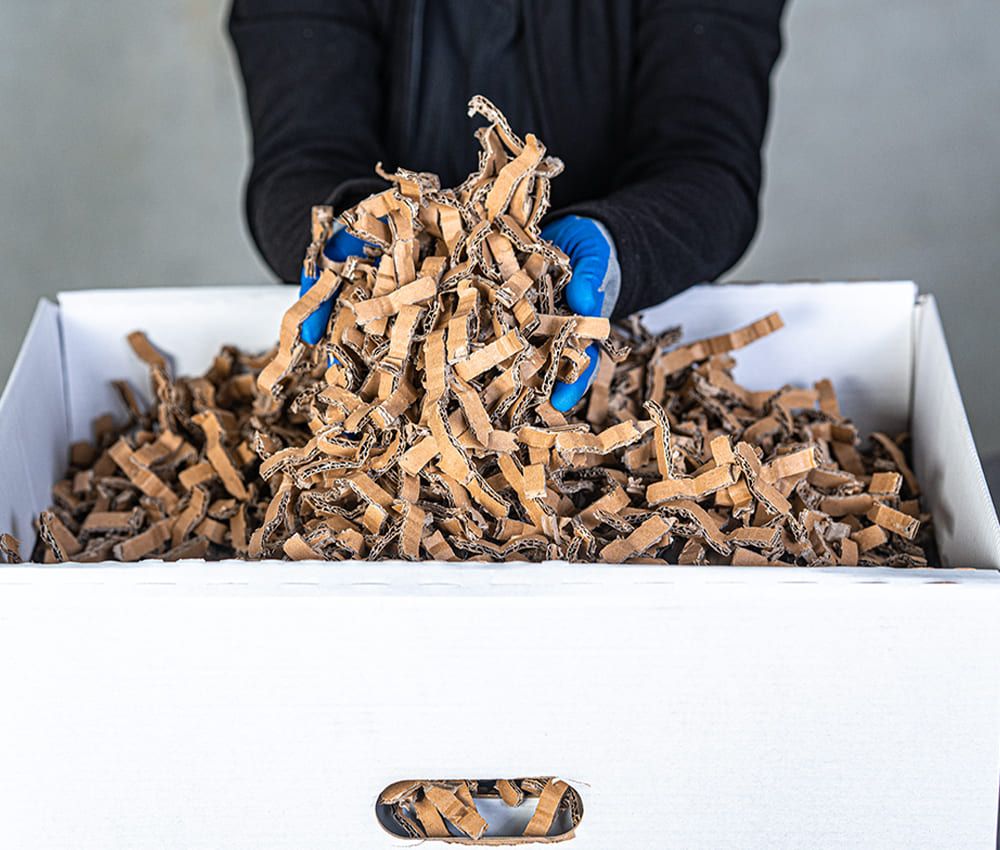 Copeaux cartons du matelasseur de cartons pour calage HSM ecoChip standard Profipack monophasé